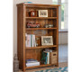 Antonio Solid Sheesham Wood large bookshelf in Honey Finish