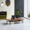 Metallic Coffee Table with Iron Legs