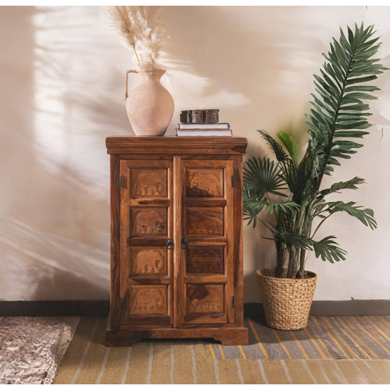 Gajraj Cabinet 60x35x90 CM | Book Storage  (Honey Finish)