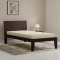 Lacrose Solid Sheesham Wood Handmade Modern Single bed (Walnut)